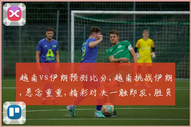 越南vs伊朗预测比分,越南挑战伊朗,悬念重重,精彩对决一触即发,胜负难料