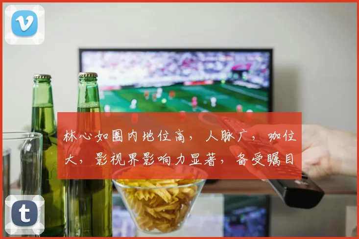 林心如圈内地位高，人脉广，咖位大，影视界影响力显著，备受瞩目。