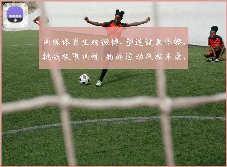 训练体育生狗微博,塑造健康体魄,挑战极限训练,狗狗运动风潮来袭,