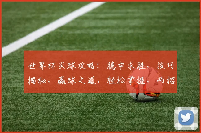 世界杯买球攻略：稳中求胜，技巧揭秘，赢球之道，轻松掌握，两招必中